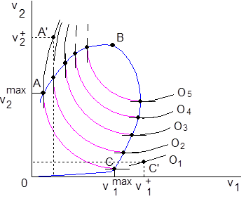 Kammlinie